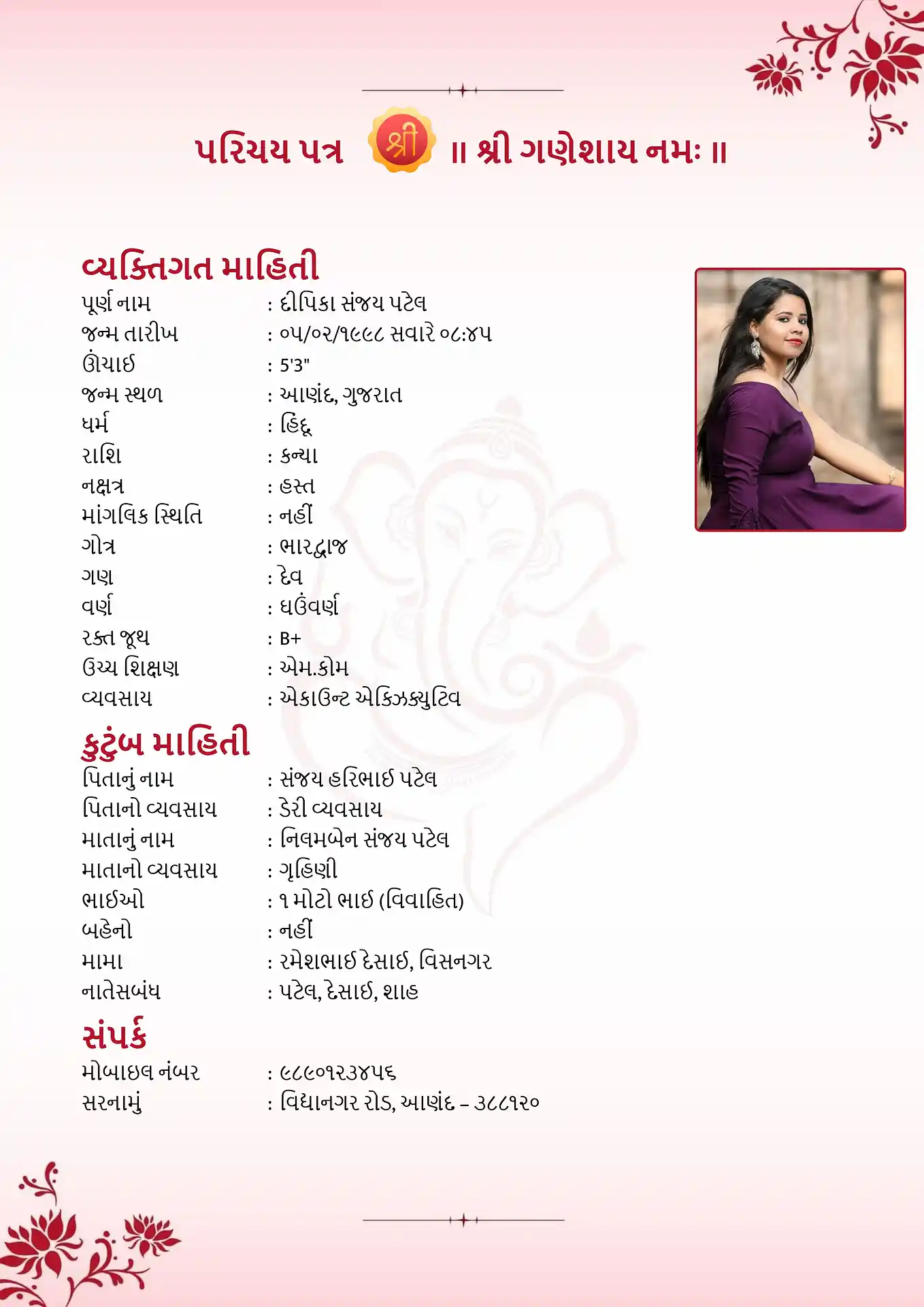 Template 3 biodata template